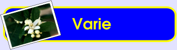 Varie